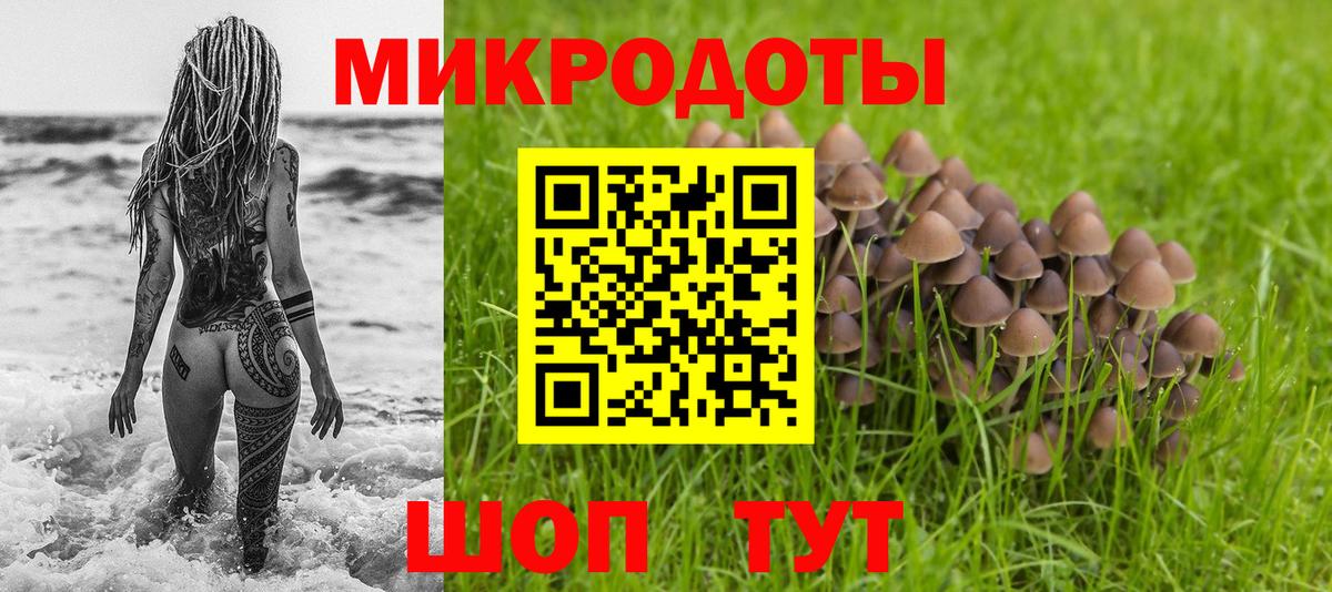Псилоцибиновые грибы MAGIC MUSHROOMS Новороссийск