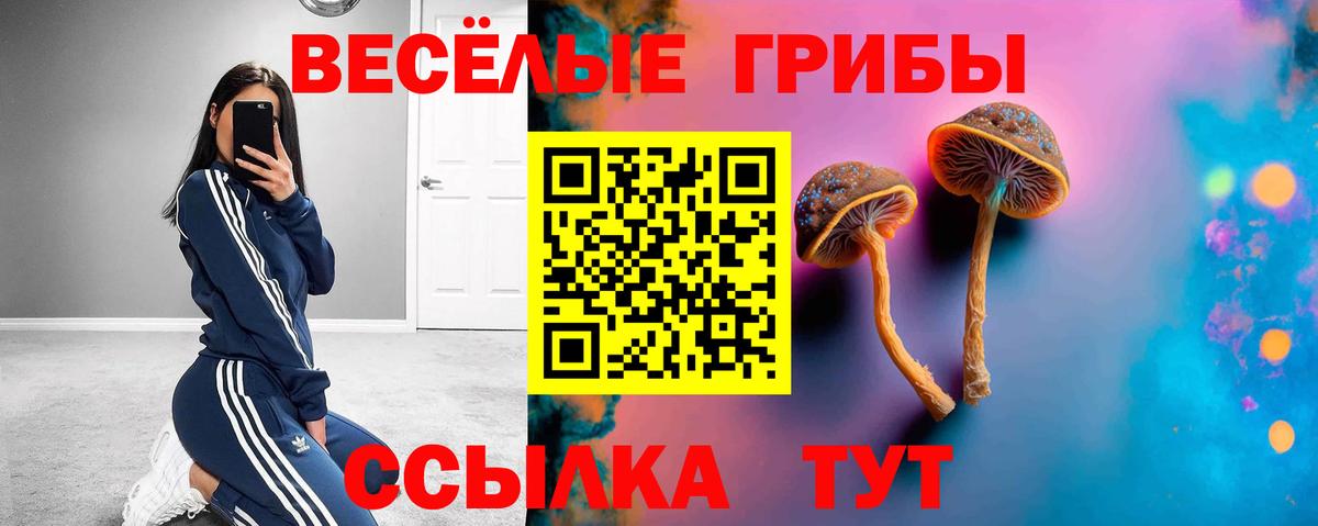 Новороссийск  Галлюциногенные грибы ЛСД  Вход с VPN 